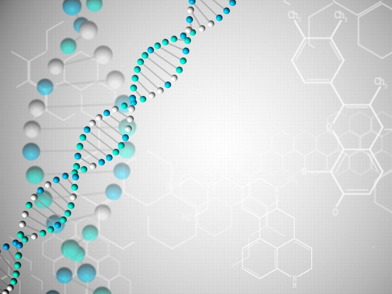 BaySpair Genome Editing Service